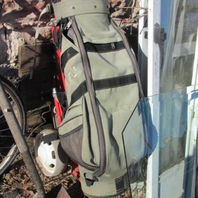 Maxwell Golf Bag With A Wilson Cart