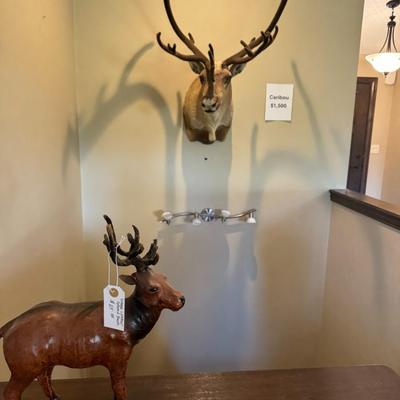 GORGEOUS Alaskan Caribou Taxidermy Mount Decor