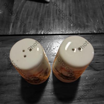Las Vegas souvenir salt and pepper shakers