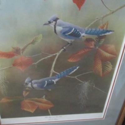 Bird Painting & John O'Neill Blue Jays and Cow Oak Song Birds Signed & Number &