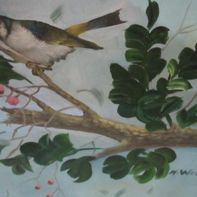 Bird Painting & John O'Neill Blue Jays and Cow Oak Song Birds Signed & Number &