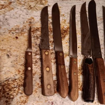 VARIETY OF WOODEN HANDLED KNIVES