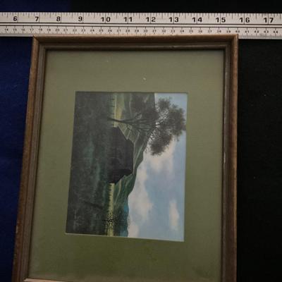 Vintage Harold Shelton Framed Picture.
