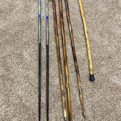 Walking sticks