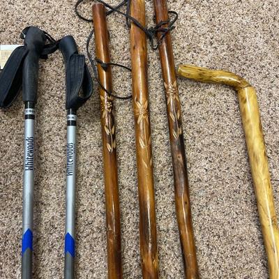 Walking sticks