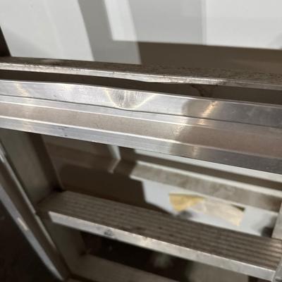 Davidson 6 foot steel ladder