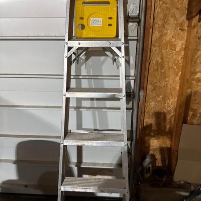 Davidson 6 foot steel ladder