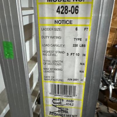 Davidson 6 foot steel ladder