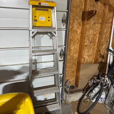 Davidson 6 foot steel ladder