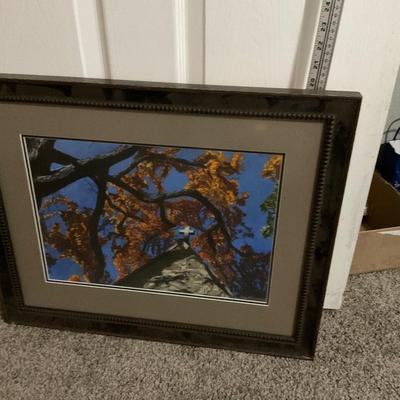 Framed Picture