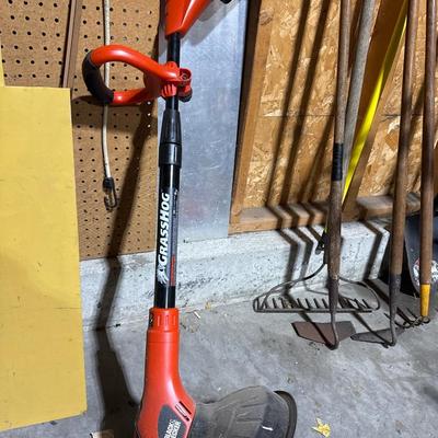 Black & Decker Weed and Hedge Trimer