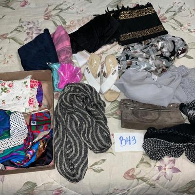 B43-Misc Scarves, shoes, purse