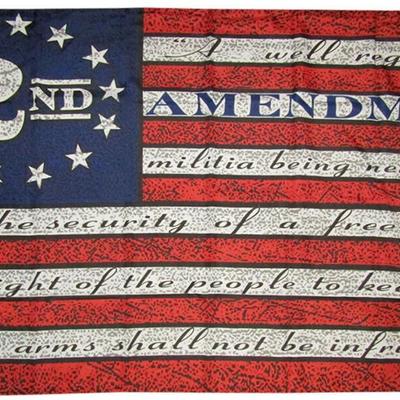 2nd Amendment American USA 13 Star Flag