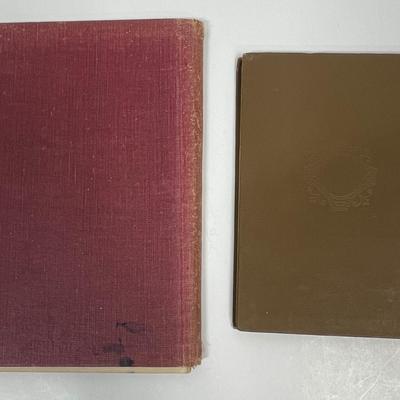 Lot of 2 Antique Spelling Books
