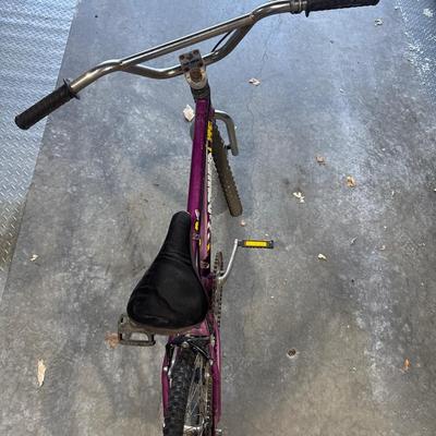 Vintage purple power light bike