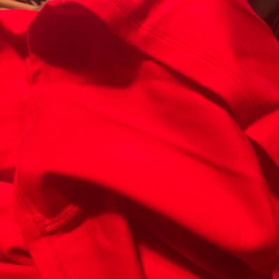 Haute Monde size L little red dress