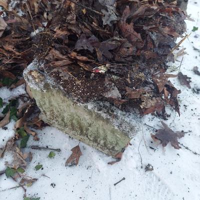 Two Cement Planters (Y-BBL)