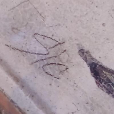 Italian inspired wood frame with gold accent wall art