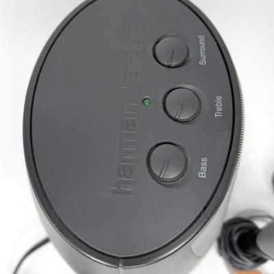 Harman Kardon Subwoofer Speaker Set - Model HK695-01