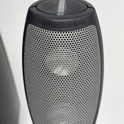 Harman Kardon Subwoofer Speaker Set - Model HK695-01
