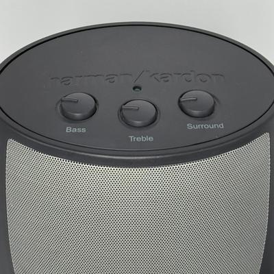 Harman Kardon Subwoofer Speaker Set - Model HK695-01