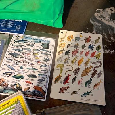 Dive & Scuba Gear (B2-RG)