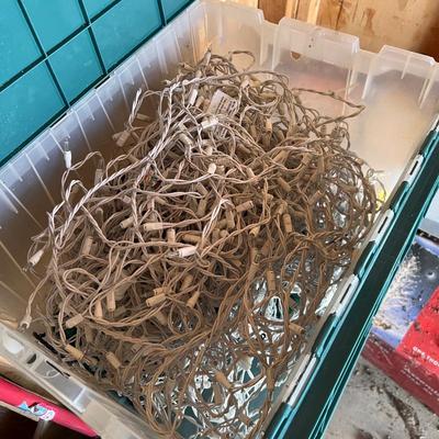 Huge Assortment of Christmas Lights Plus Storage Tubs & Extension Cords (S-RG)