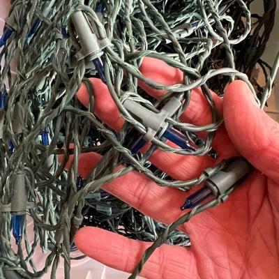 Huge Assortment of Christmas Lights Plus Storage Tubs & Extension Cords (S-RG)
