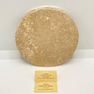 LOT 179: Hand Crafted Collection - The Metropolitan Museum of Art Prehistoric Bison Art, Fish Fossil, Percussion Frog, Carved Wood Decor...