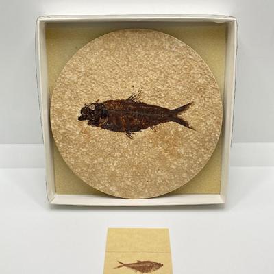 LOT 179: Hand Crafted Collection - The Metropolitan Museum of Art Prehistoric Bison Art, Fish Fossil, Percussion Frog, Carved Wood Decor...