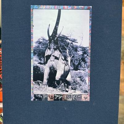 PETER BEARD Special Edition 2 Vol. Box Set TASCHEN