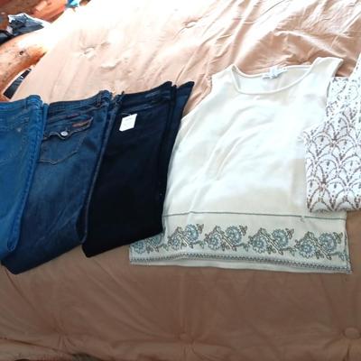 LADIES JEANS (12) SHORT SLEEVE SHIRT (S)