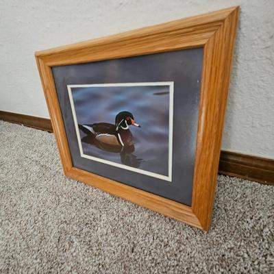 Framed wall art - wood duck - Boat - and a fish themed picture frame
