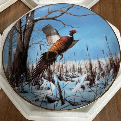 Game Bird Collection by David Maas Set of (8) with Certificates of Authenticity