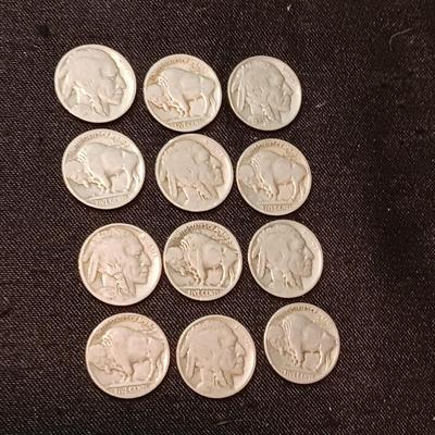 12 BUFFALO NICKELS