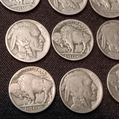 12 BUFFALO NICKELS