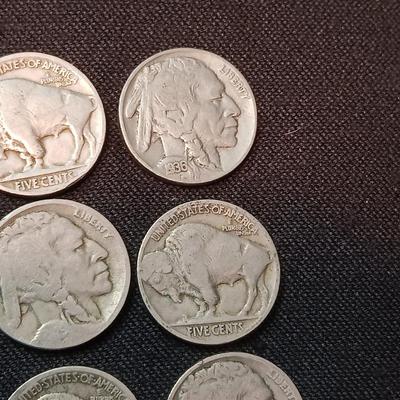 12 BUFFALO NICKELS