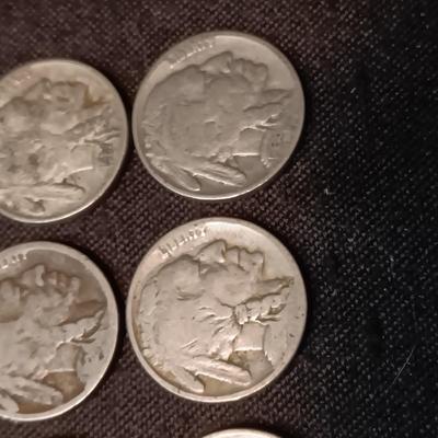 12 BUFFALO NICKELS