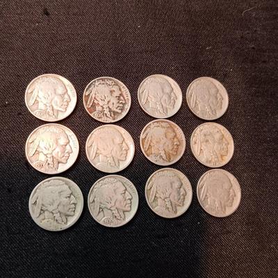 12 BUFFALO NICKELS