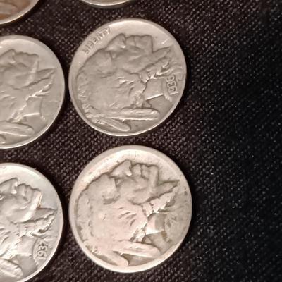 12 BUFFALO NICKELS