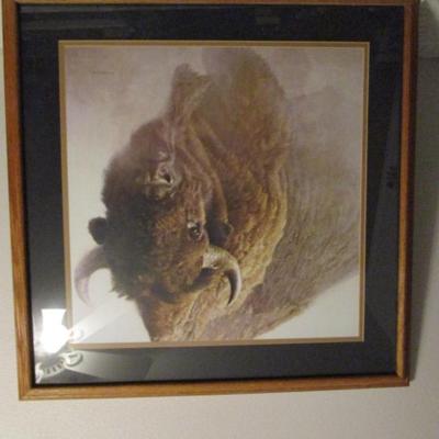Buffalo in the mist picture