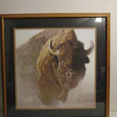 Buffalo in the mist picture