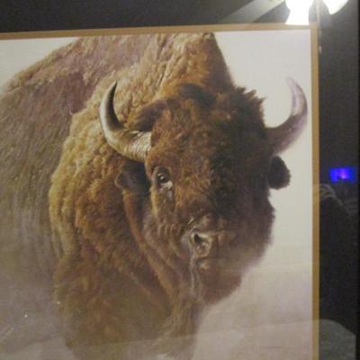 Buffalo in the mist picture