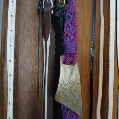 Variety of women's fashion belts