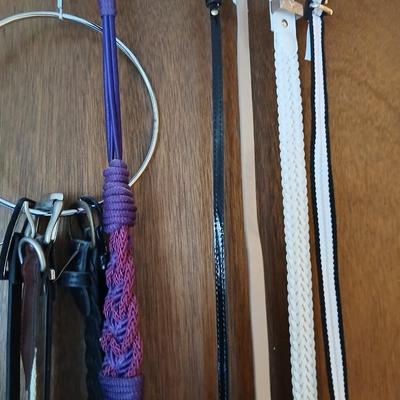 Variety of women's fashion belts