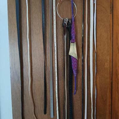 Variety of women's fashion belts