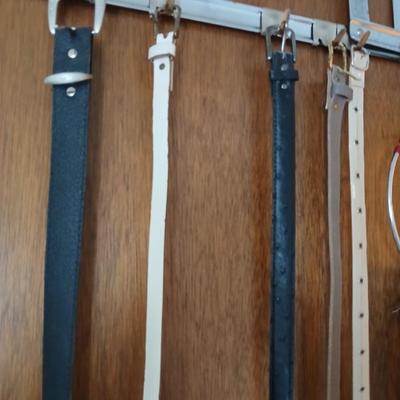 Variety of women's fashion belts