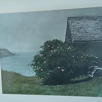 Framed wall art Print James Wyeth " Island of roses"