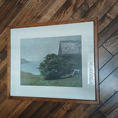 Framed wall art Print James Wyeth " Island of roses"
