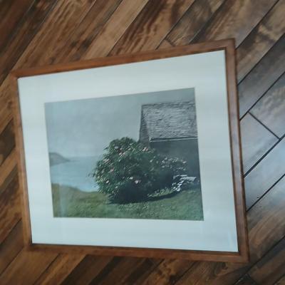 Framed wall art Print James Wyeth " Island of roses"
